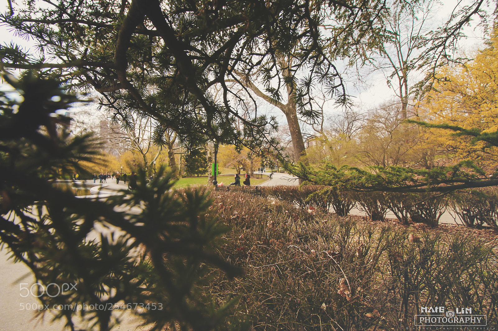 Canon EOS 70D sample photo. Walk around the central photography