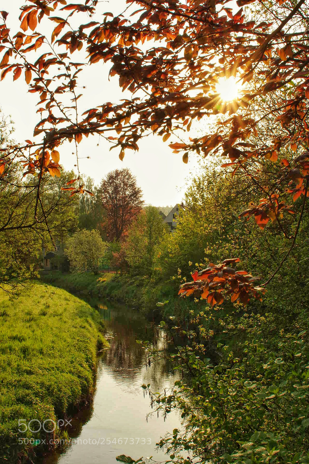 Pentax K-3 sample photo. Untitled photography