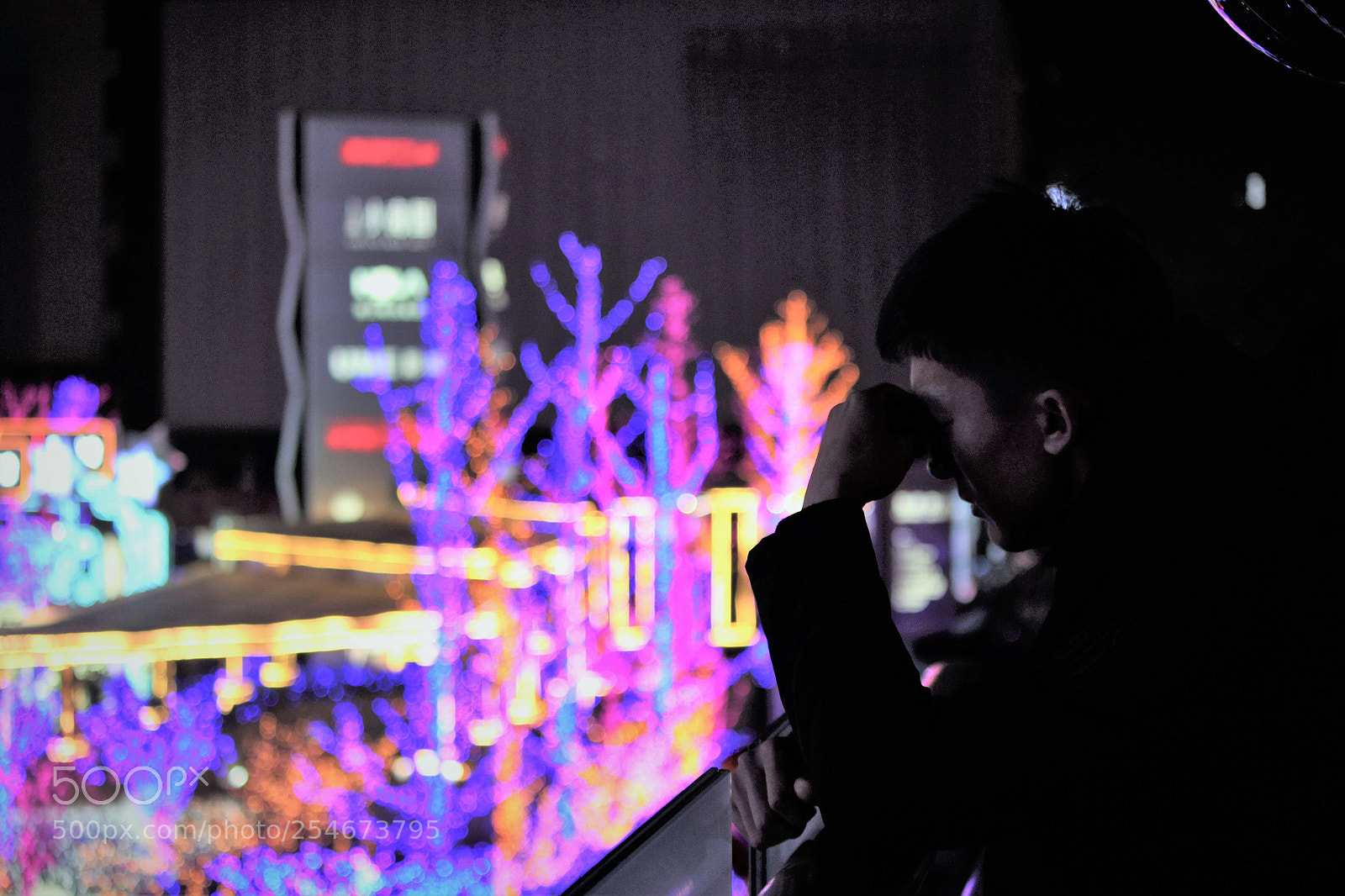 Canon EOS 550D (EOS Rebel T2i / EOS Kiss X4) sample photo. Prosperity and worry photography