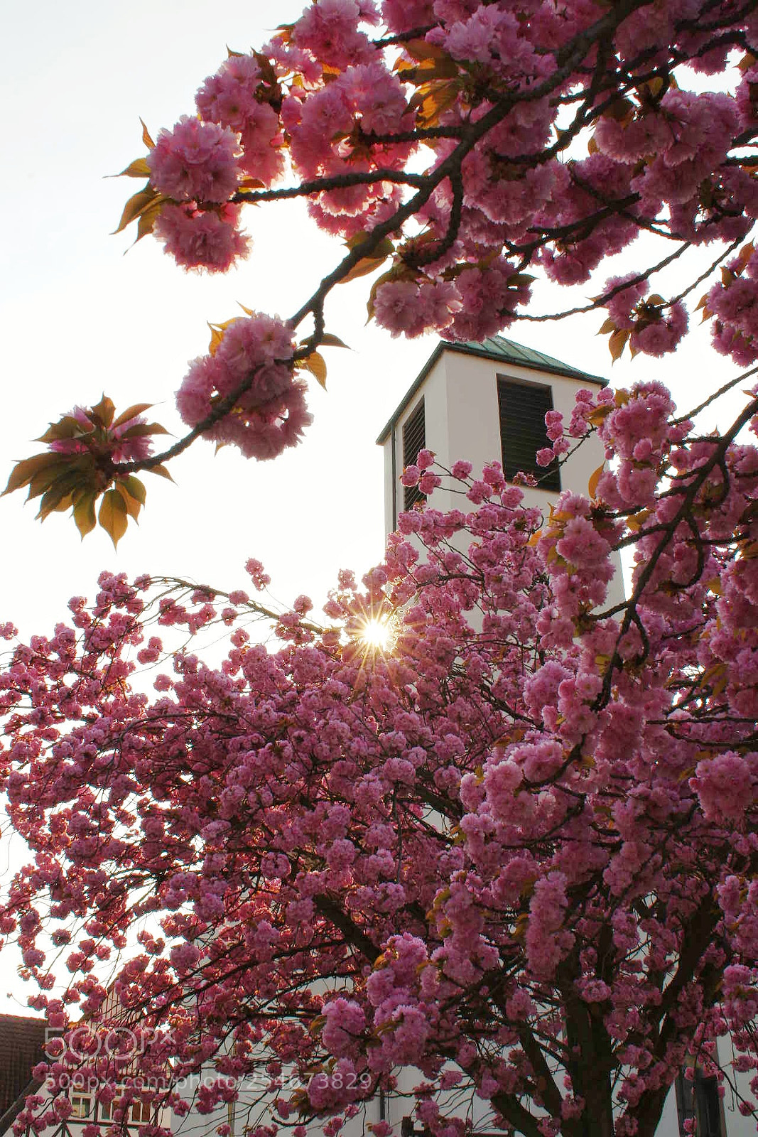 Pentax K-3 sample photo. Untitled photography