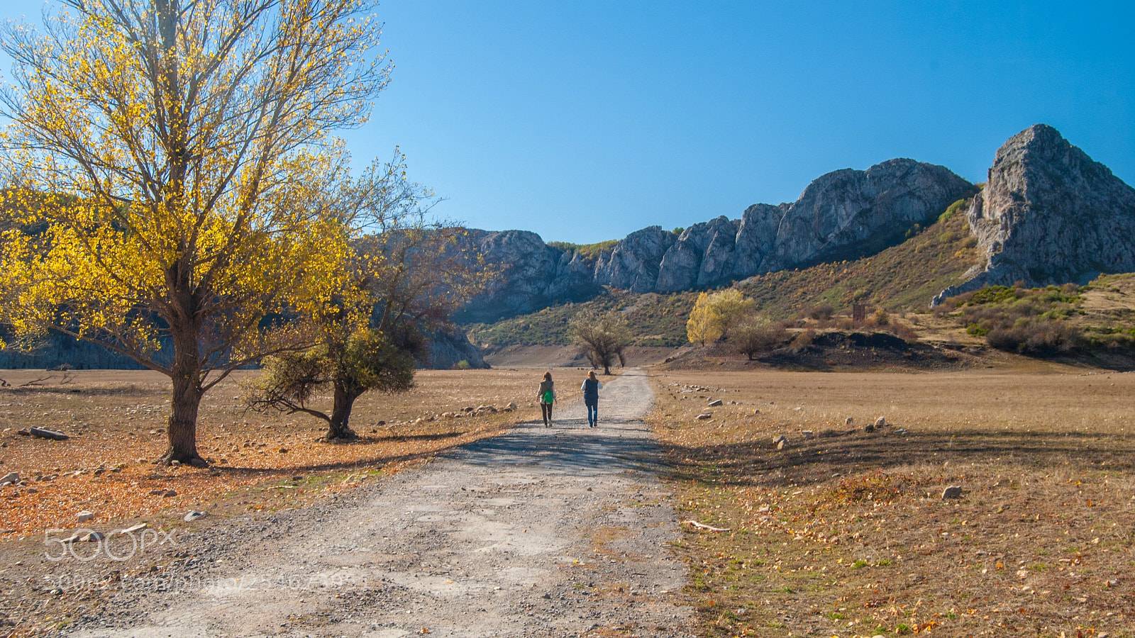 Nikon D3000 sample photo. Camino rural photography