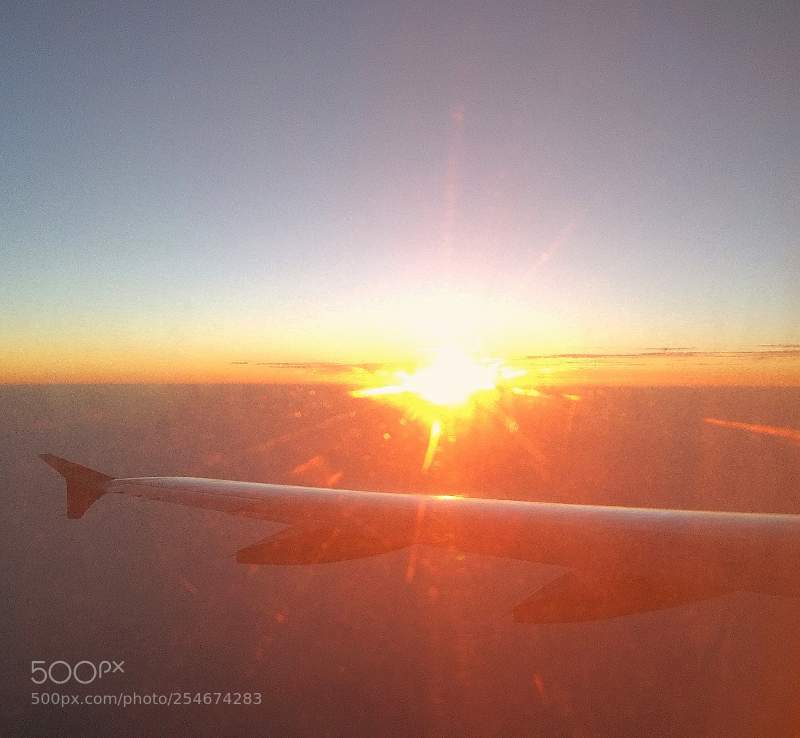 HUAWEI Honor 8 sample photo. Untitled photography