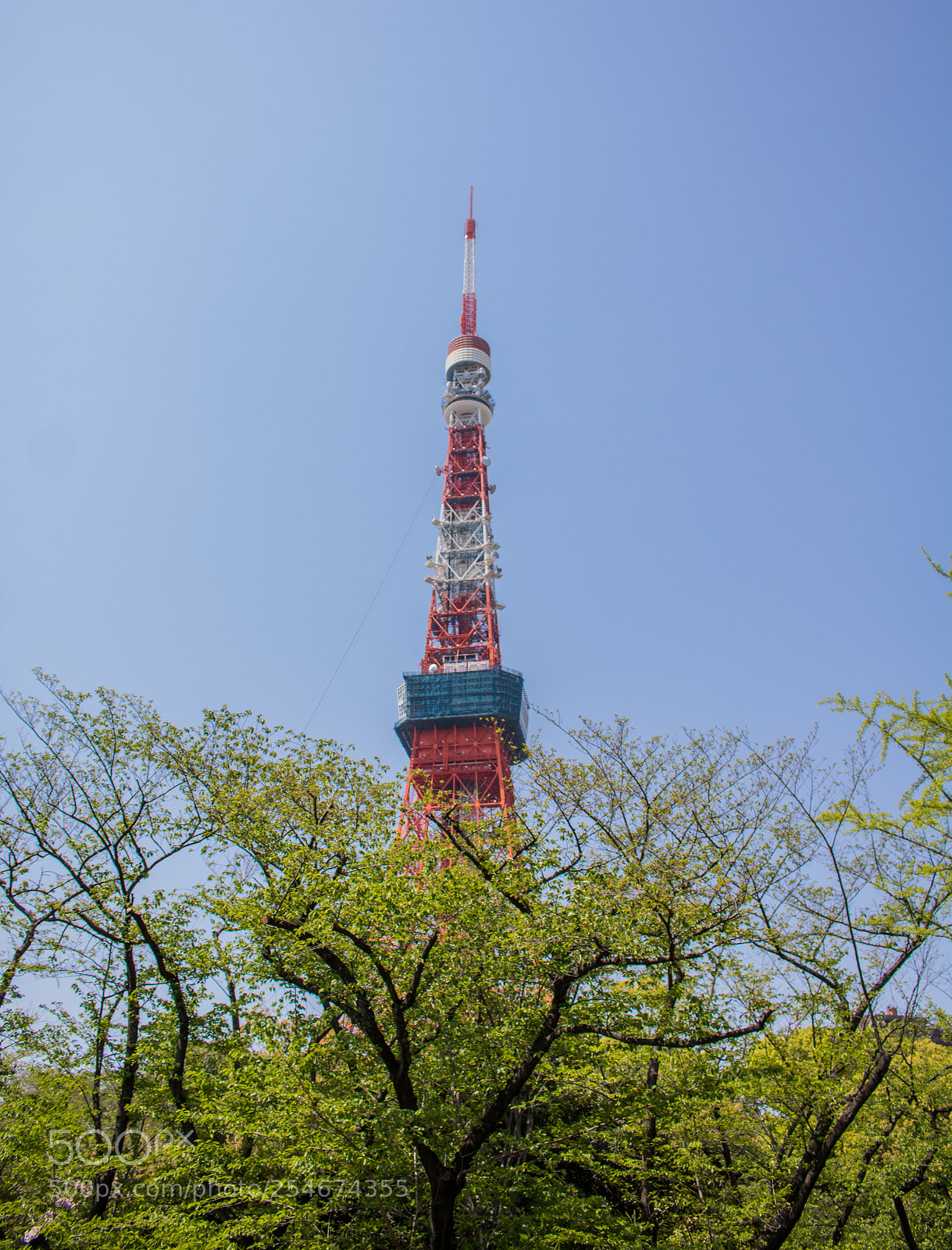 Canon EOS 750D (EOS Rebel T6i / EOS Kiss X8i) sample photo. Tokyo tower photography