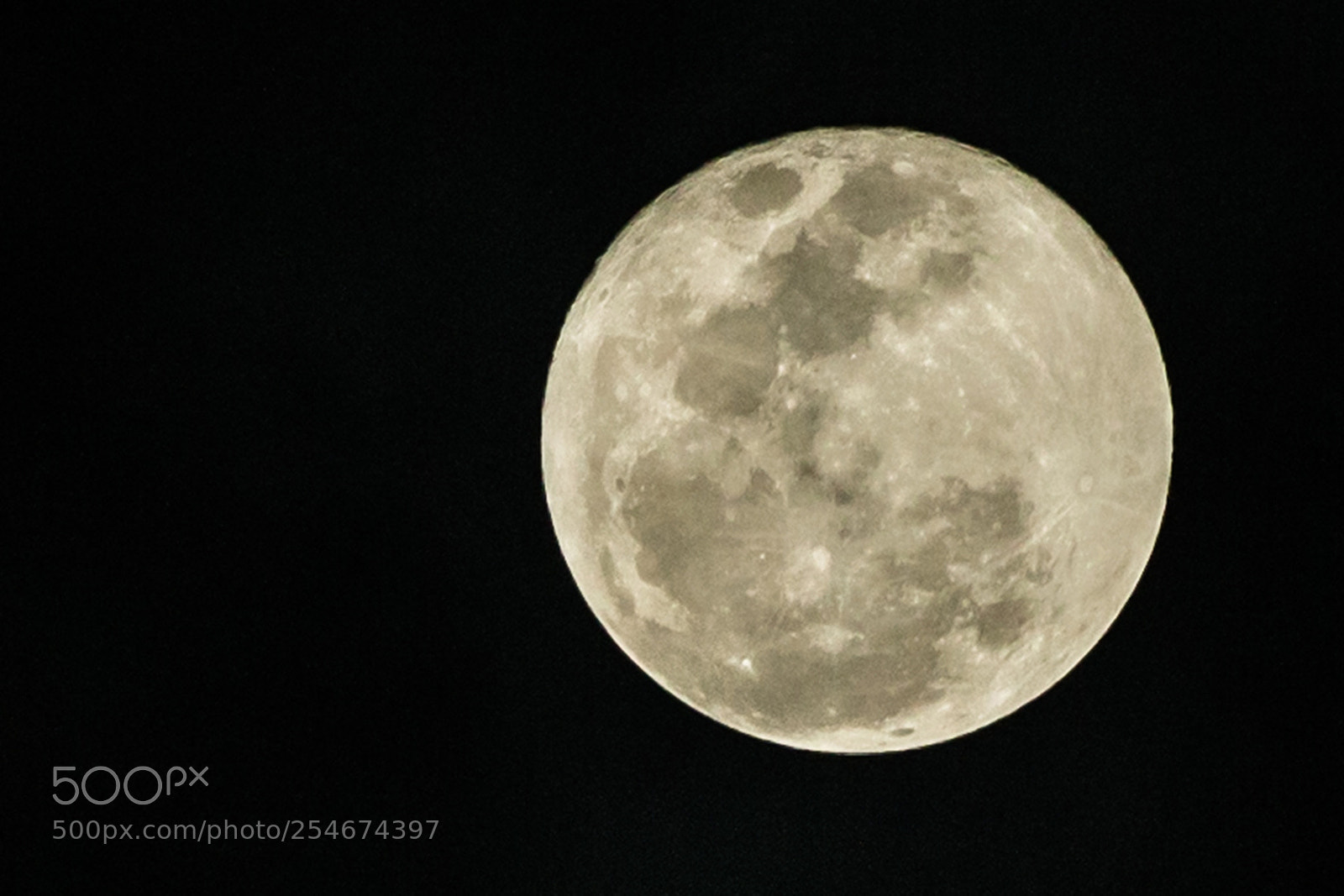 Canon EOS-1D X sample photo. Super full moon photography