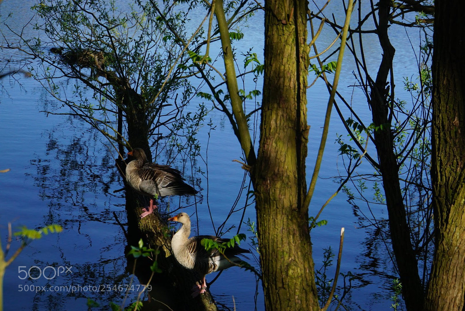Sony a6000 sample photo. Lake photography