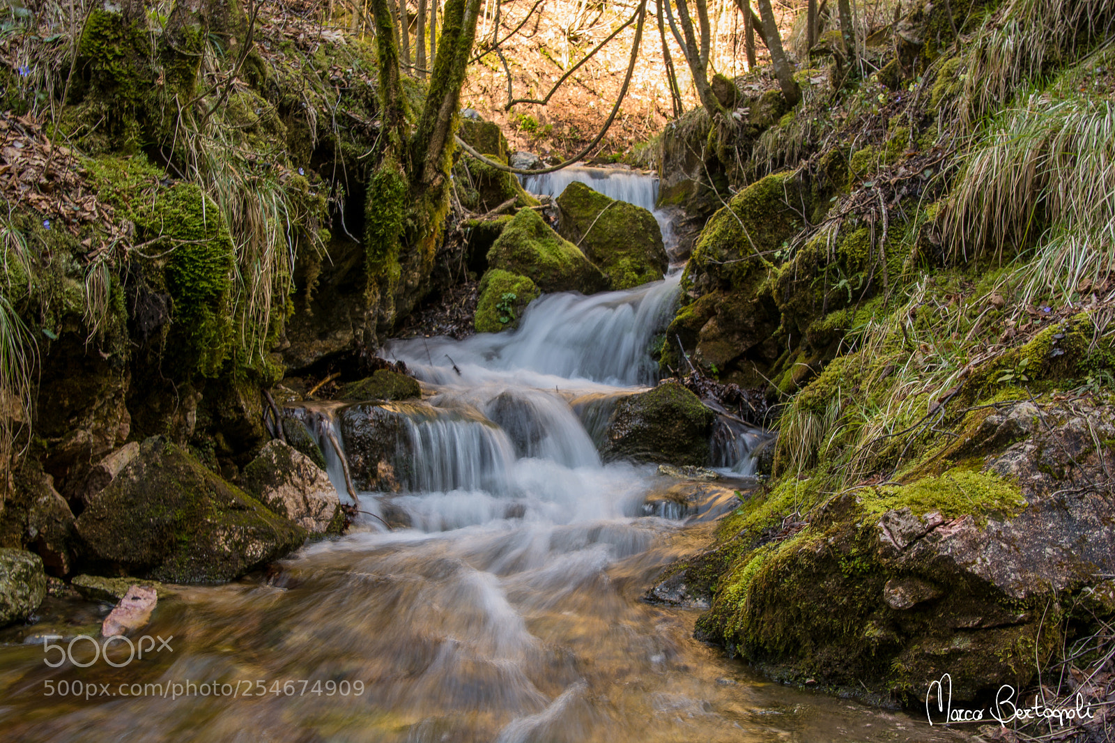 Nikon D5200 sample photo. Val fraselle photography