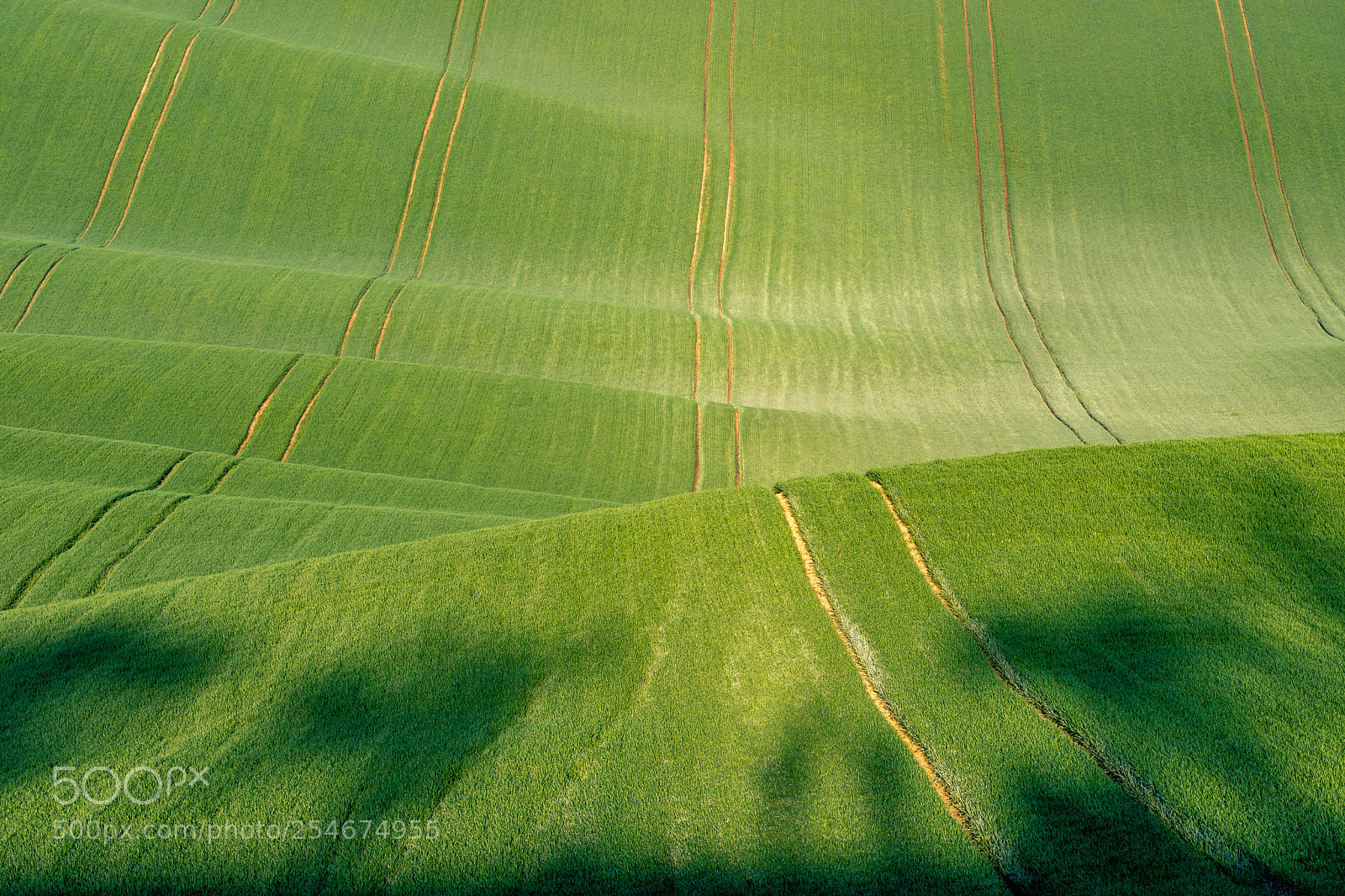 Canon EOS 6D Mark II sample photo. Moravian rolling hills ii photography