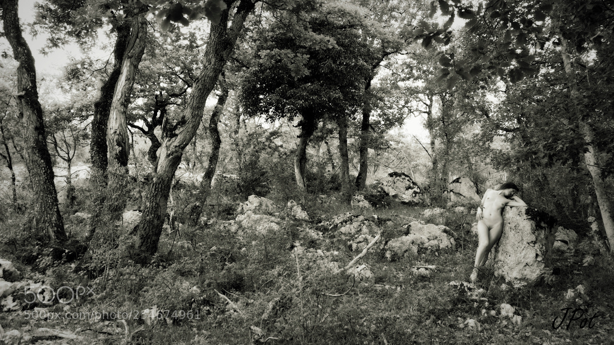 Canon EOS 60D sample photo. La pierre qui r photography
