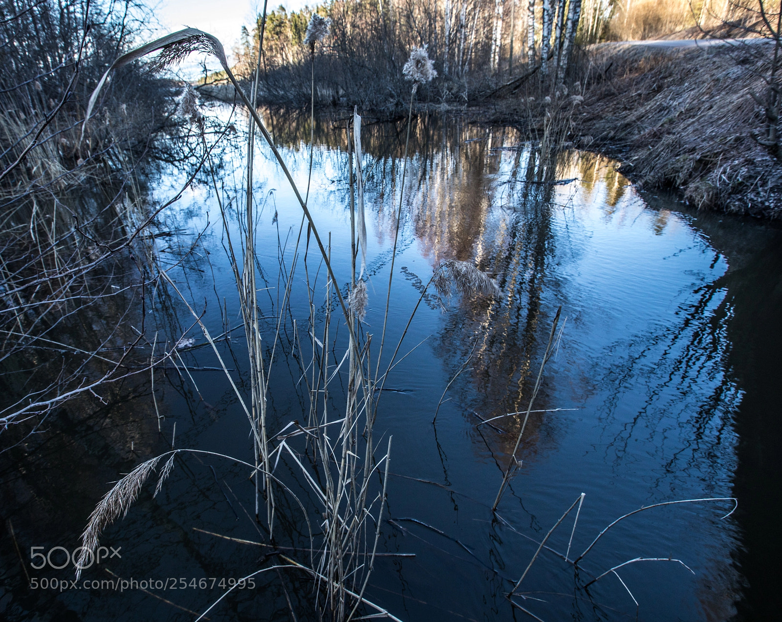 Canon EOS 5D Mark IV sample photo. By the lake ii photography