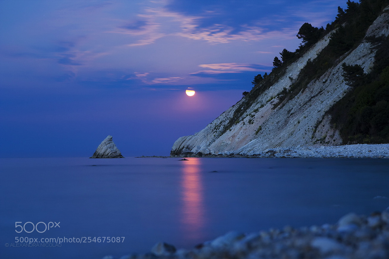 Canon EOS 60D sample photo. Moonrise photography