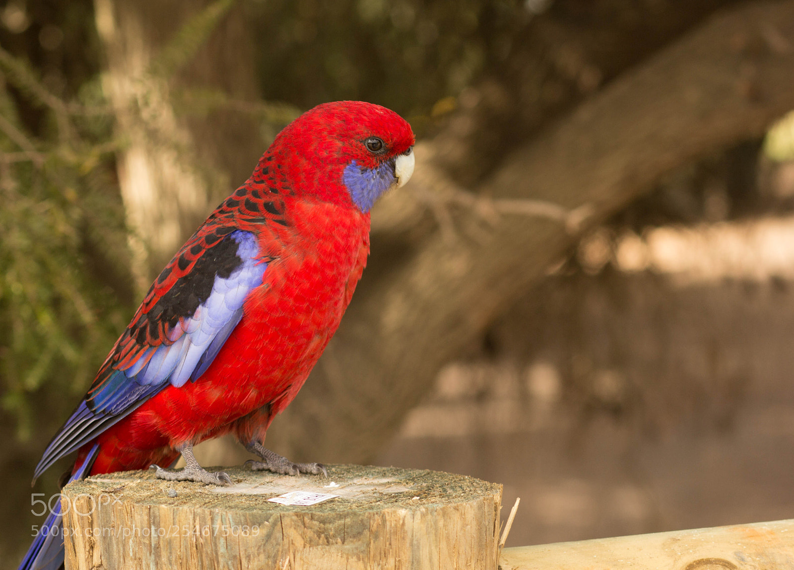 Canon EOS 60D sample photo. Untitled photography