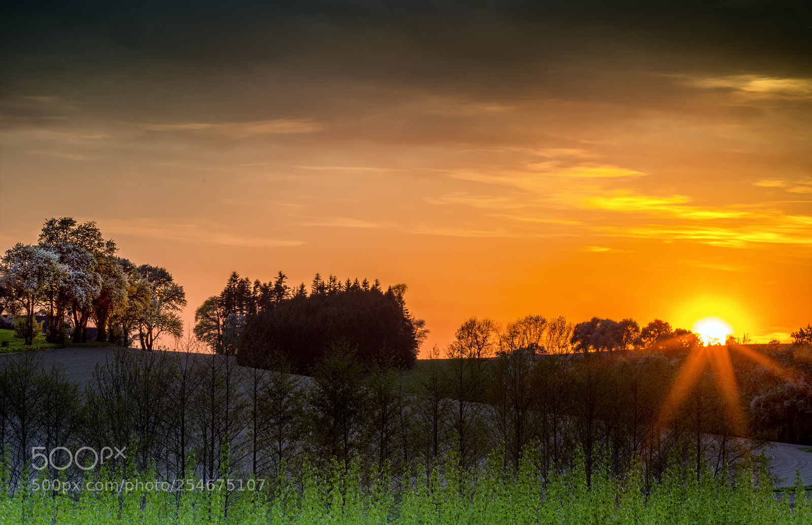 Canon EOS 6D Mark II sample photo. Mostviertel sunset photography