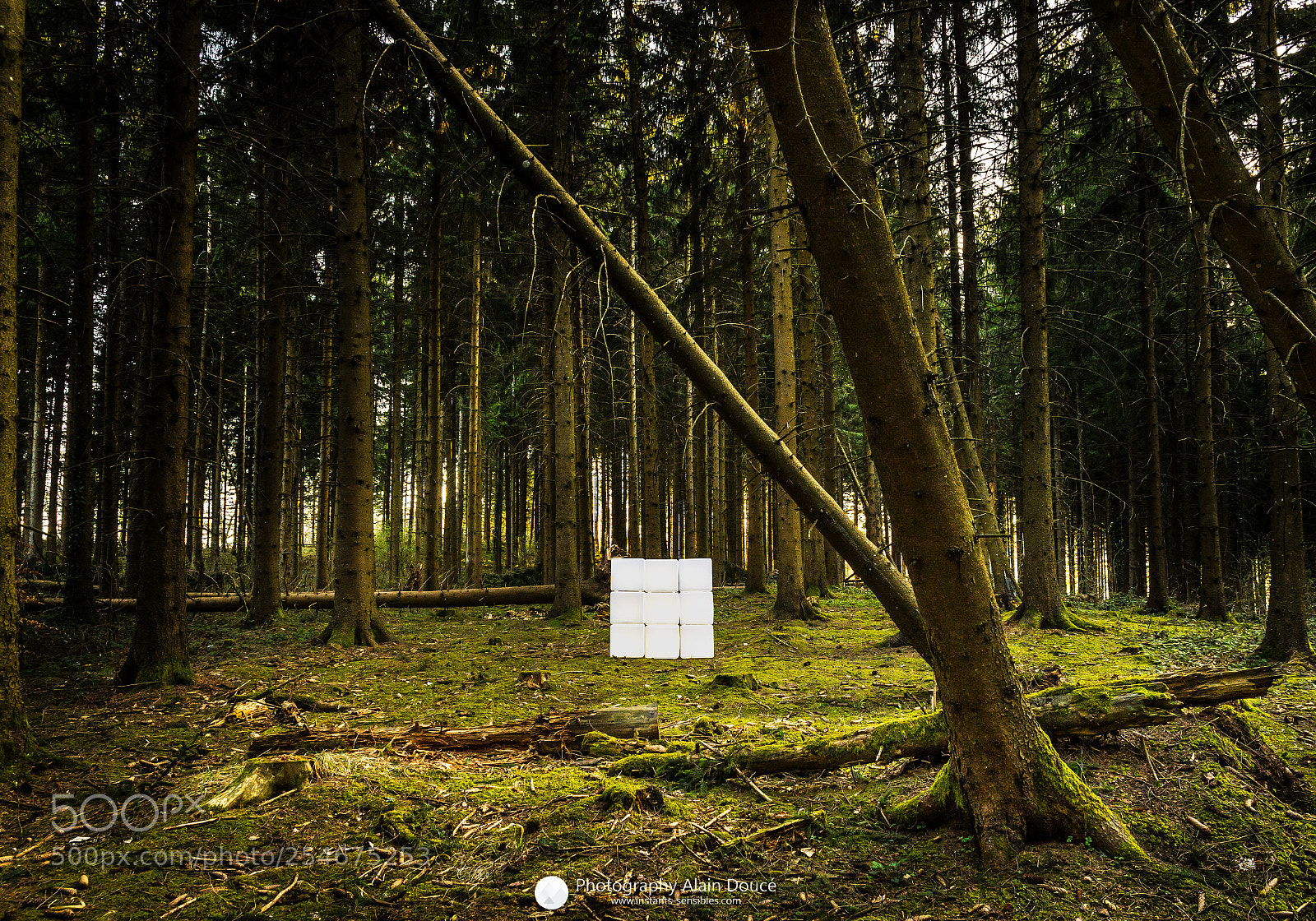Nikon D610 sample photo. Cubes lumiere photo alain photography
