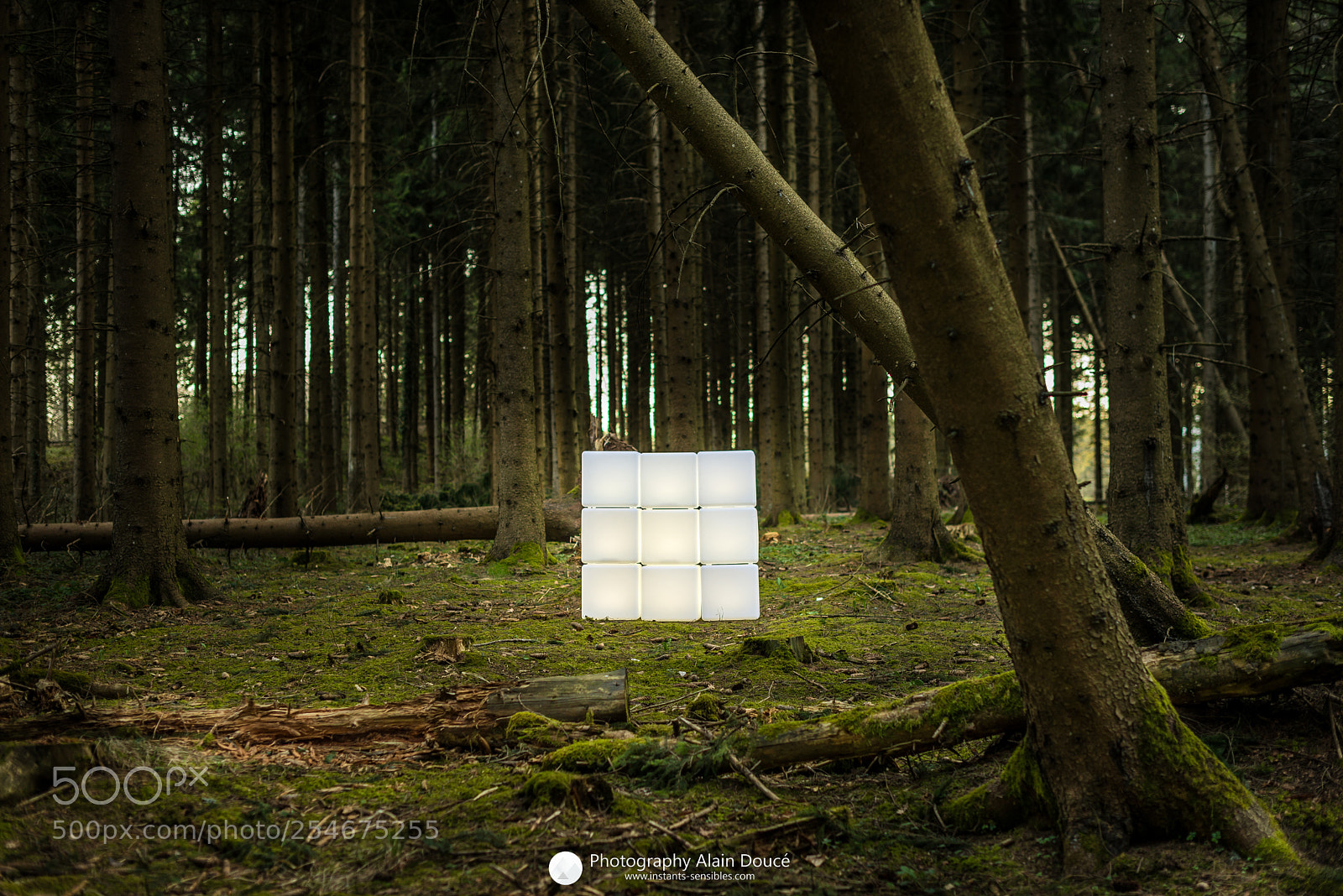 Nikon D610 sample photo. Cubes lumiere photo alain photography