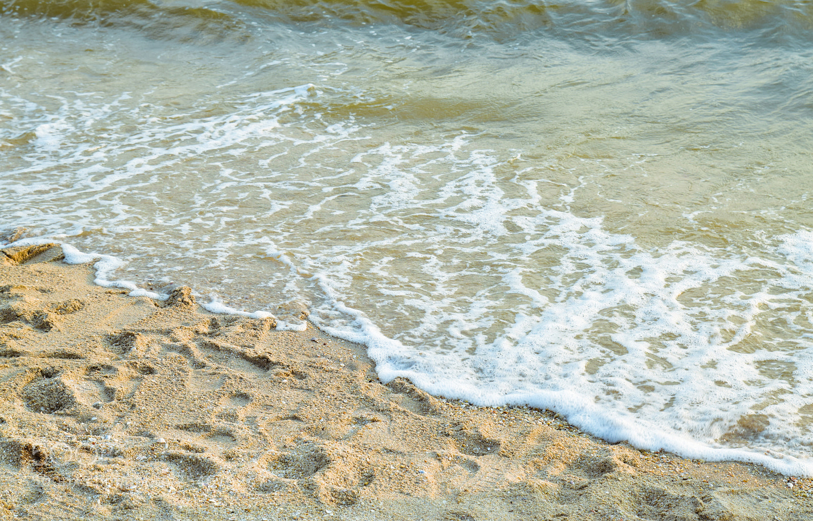 Nikon D5300 sample photo. Bang saen beach photography