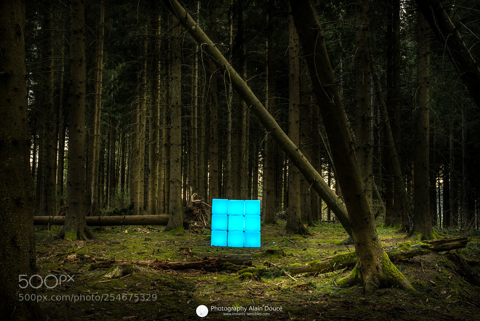 Nikon D610 sample photo. Cubes lumiere photo alain photography