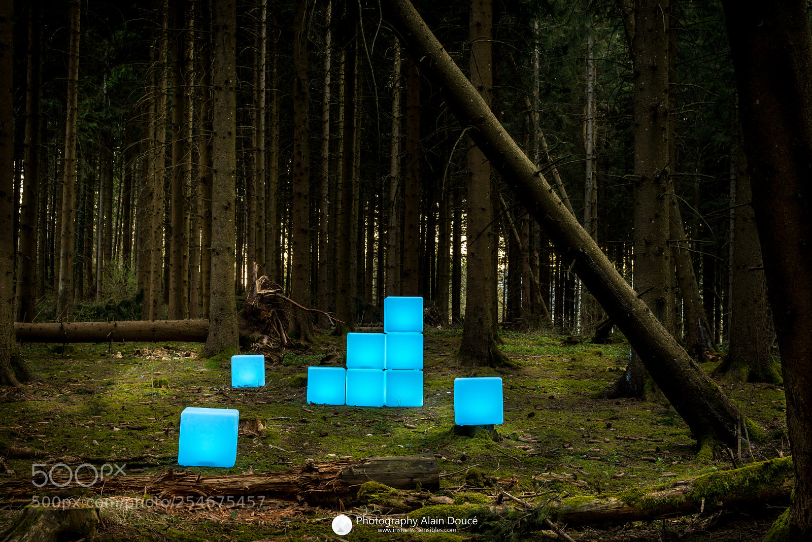 Nikon D610 sample photo. Cubes lumiere photo alain photography