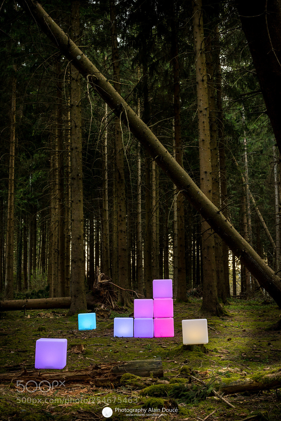 Nikon D610 sample photo. Cubes lumiere photo alain photography