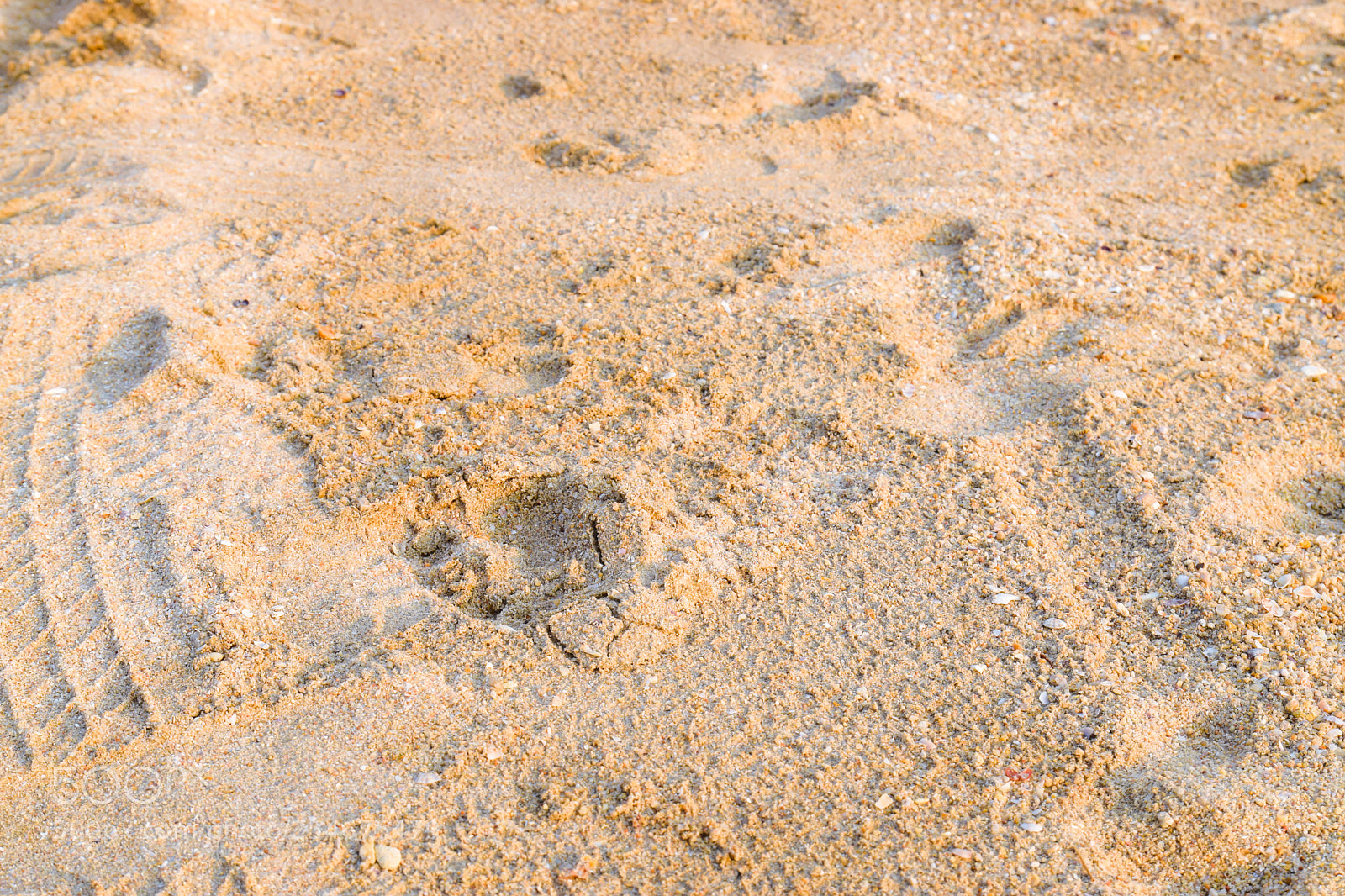 Nikon D5300 sample photo. Beach photography