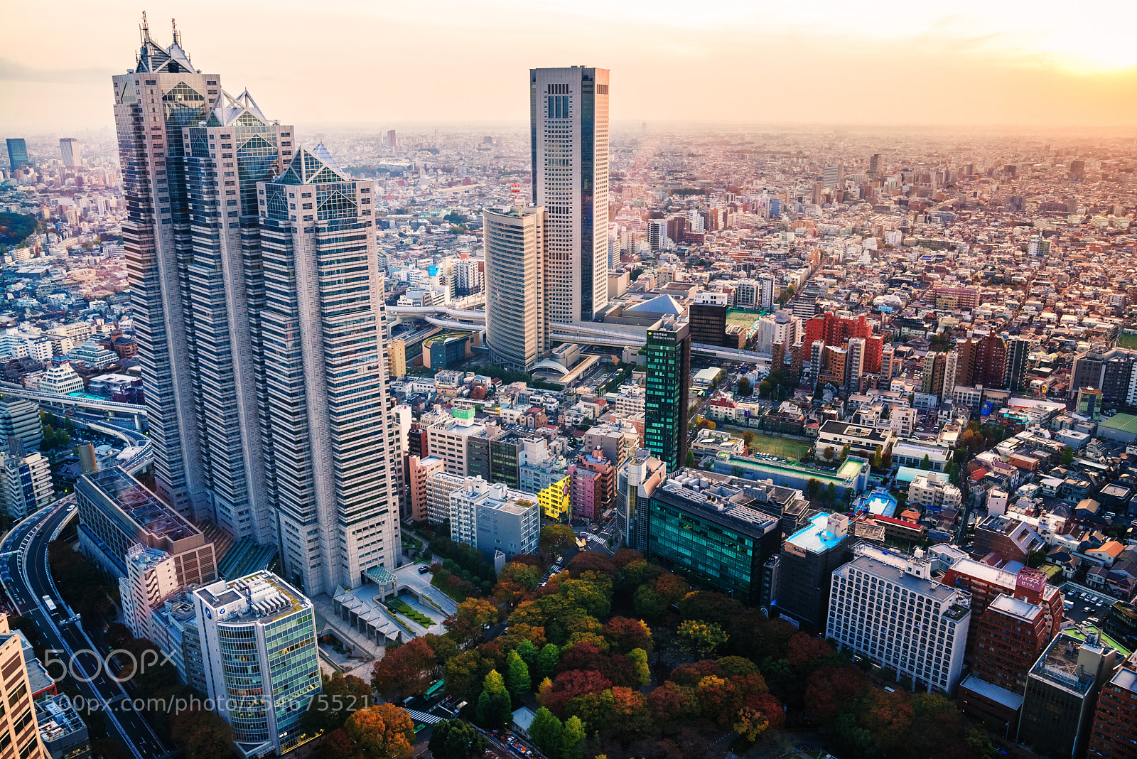 Nikon D610 sample photo. Tokyo sprawl photography