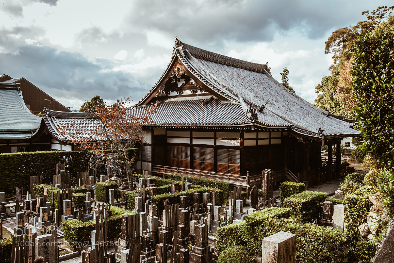 Nikon D610 sample photo. The cemetery photography
