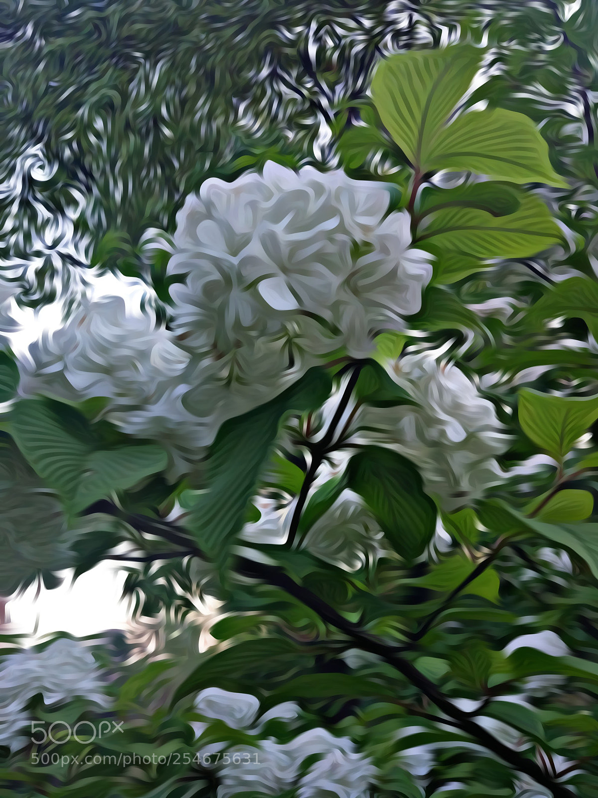 Xiaomi MI 5 sample photo. 《春华》 photography