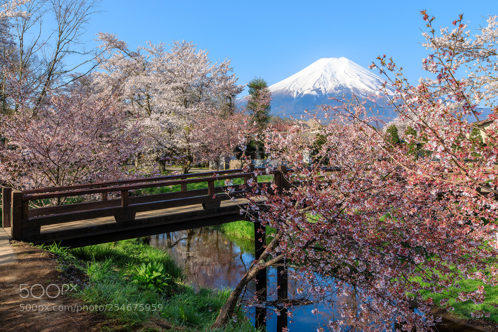 Canon EOS 5D Mark IV sample photo. Fuji #227 photography