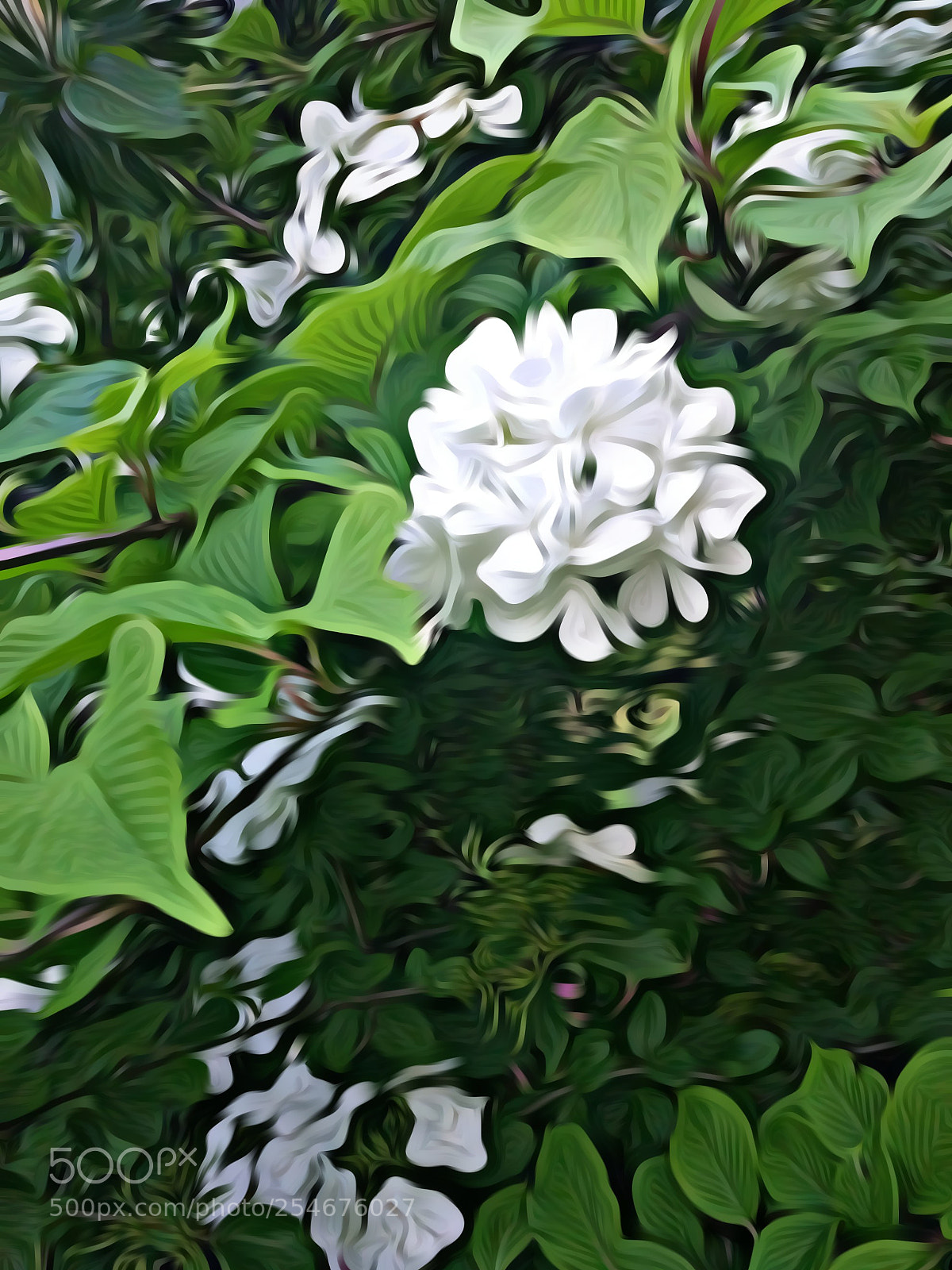 Xiaomi MI 5 sample photo. 《春华》 photography