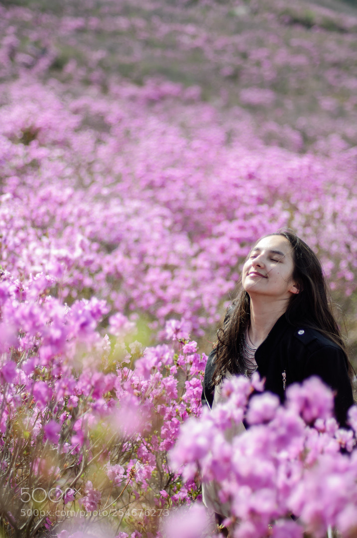 Nikon D2X sample photo. Azalea photography