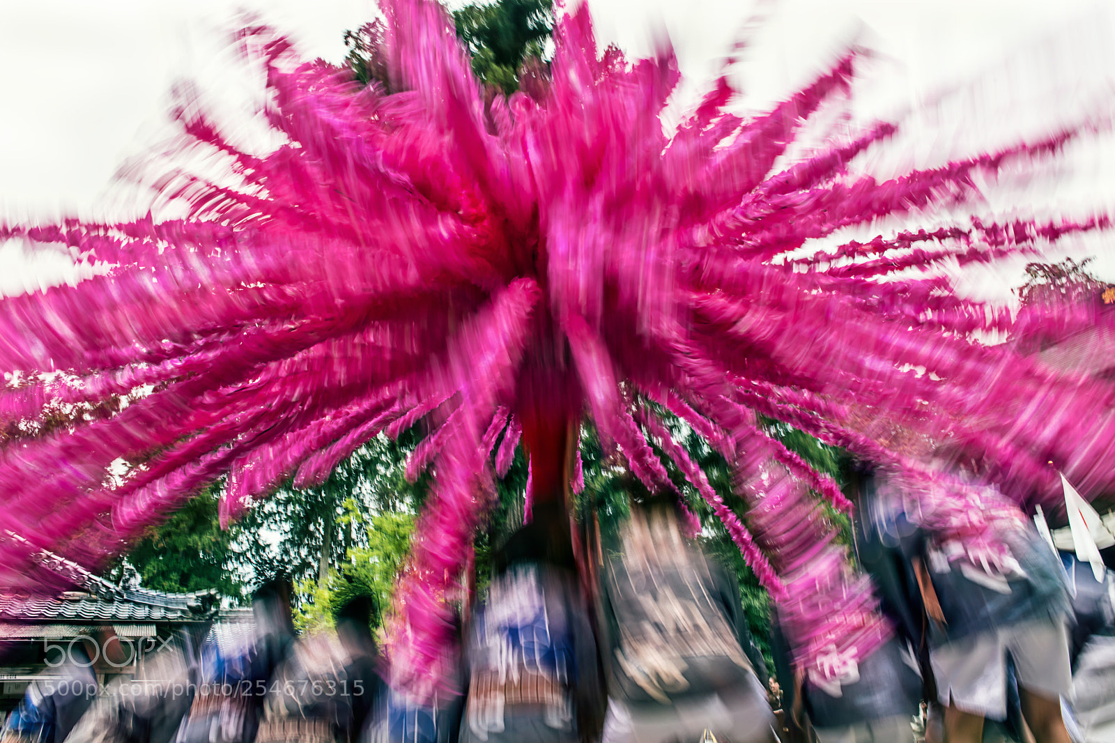 Nikon D850 sample photo. Wild dancing photography