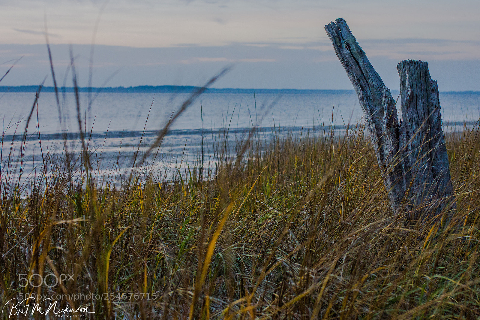Sony SLT-A65 (SLT-A65V) sample photo. Beach of beaufort photography