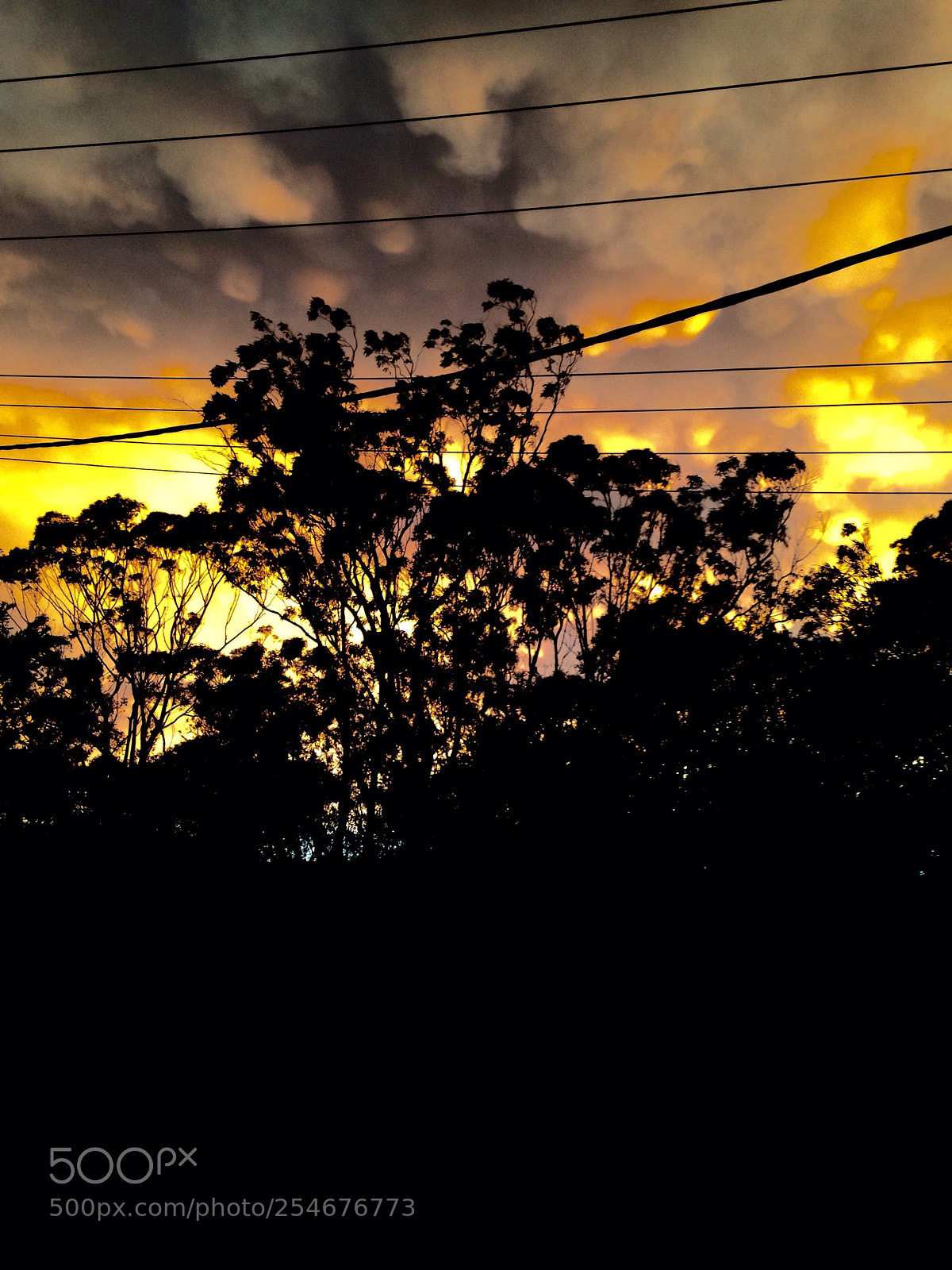 Apple iPhone 5c sample photo. After a storm.  photography