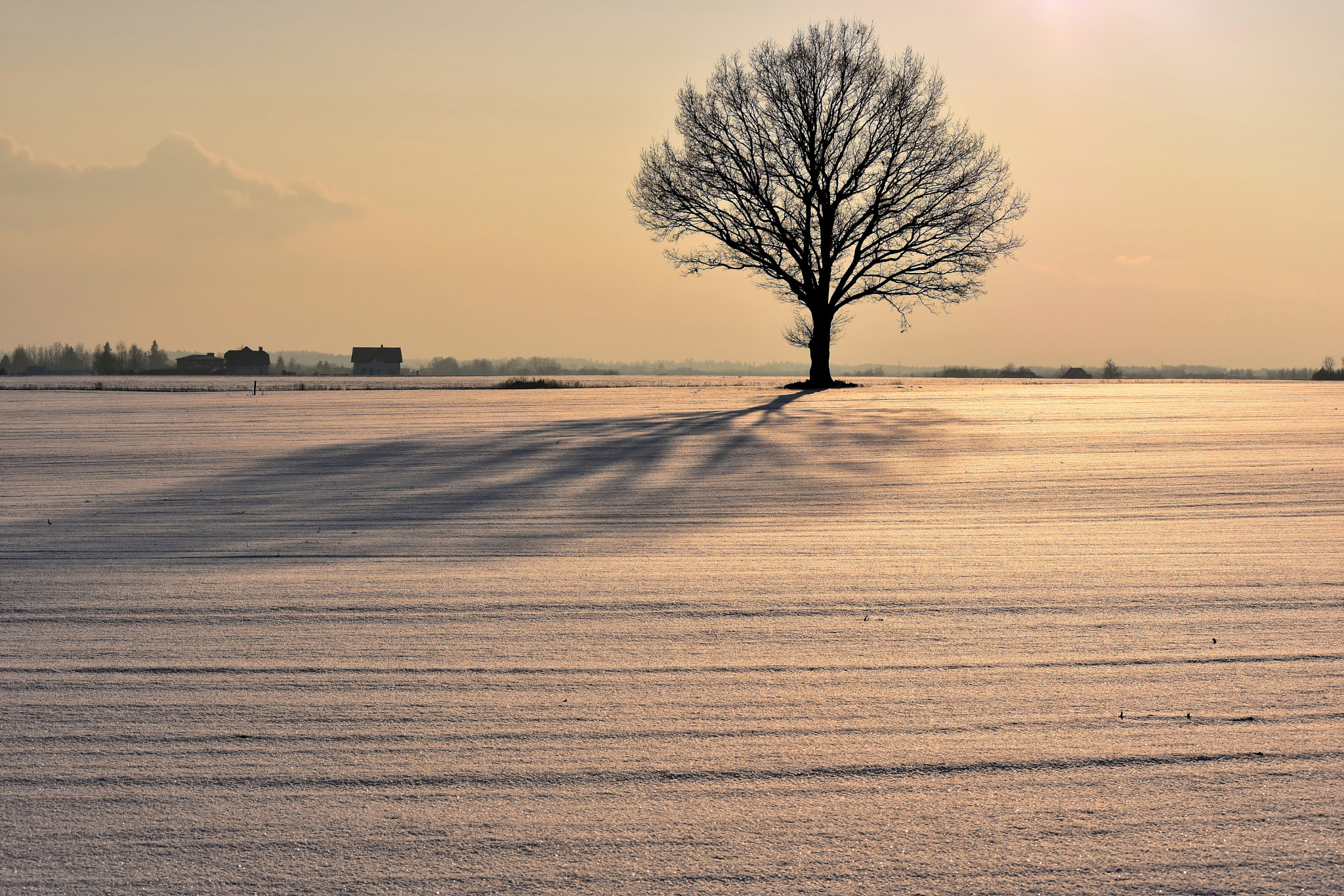 Nikon D3400 sample photo. Winter afternoon photography