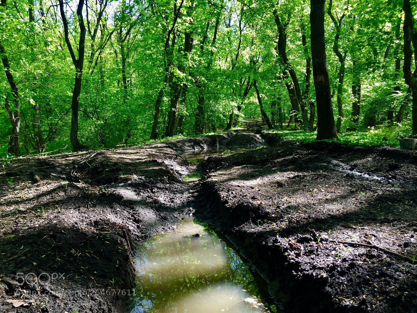 Apple iPhone 6 sample photo. Mud trail in the photography