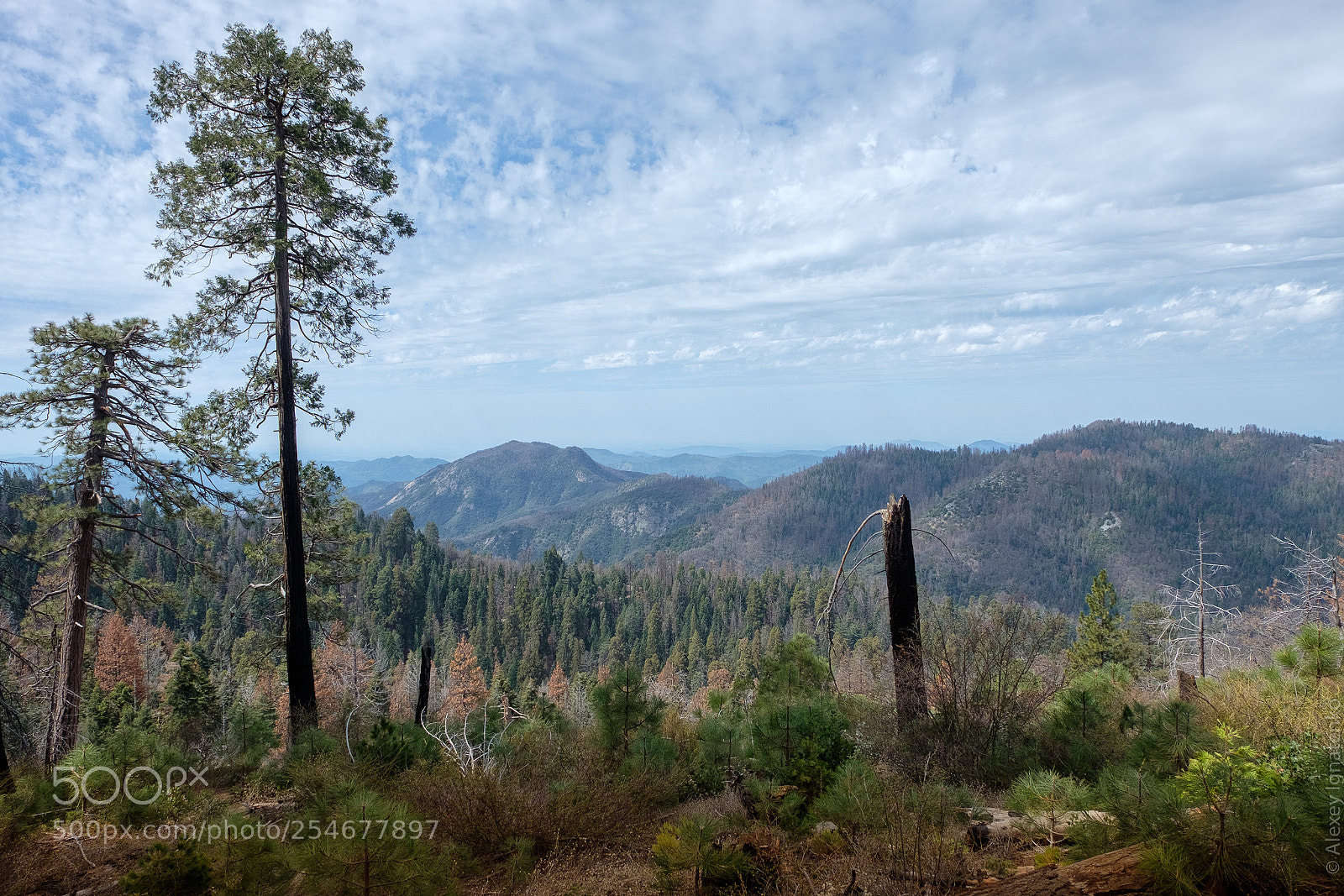 Fujifilm X-T2 sample photo. A view from sequoia photography