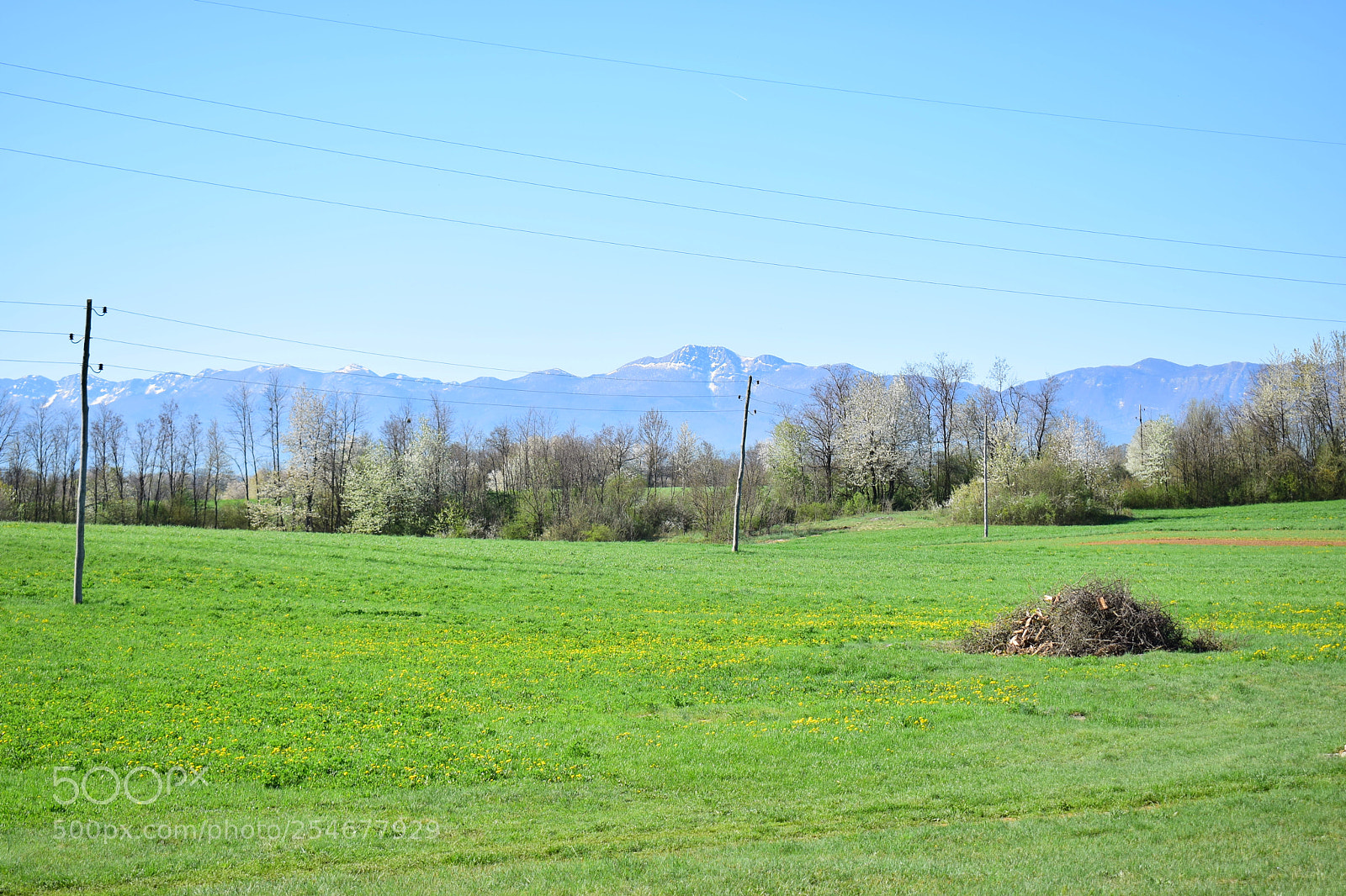 Nikon D3300 sample photo. Spring is awake photography