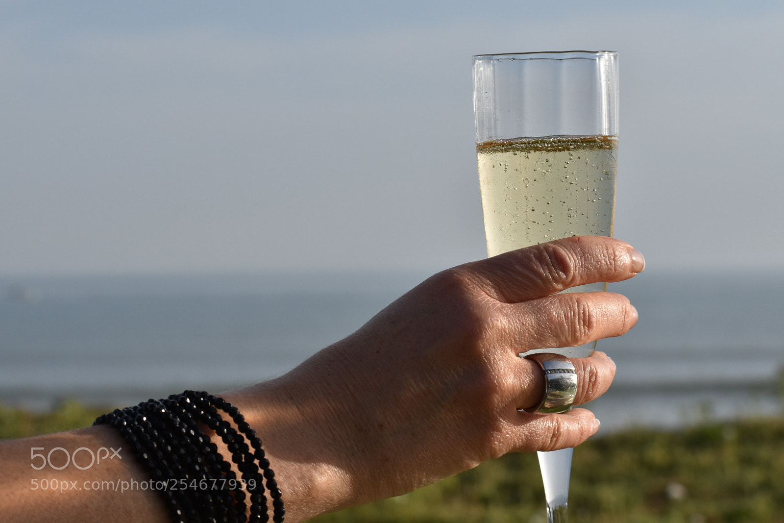 Nikon D5600 sample photo. Champagne photography