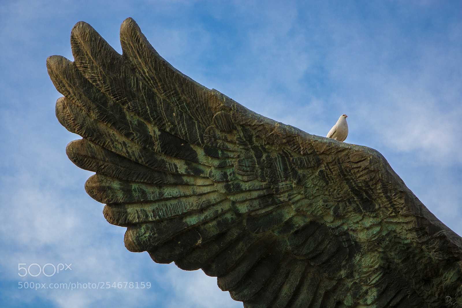 Canon EOS 70D sample photo. Wings photography
