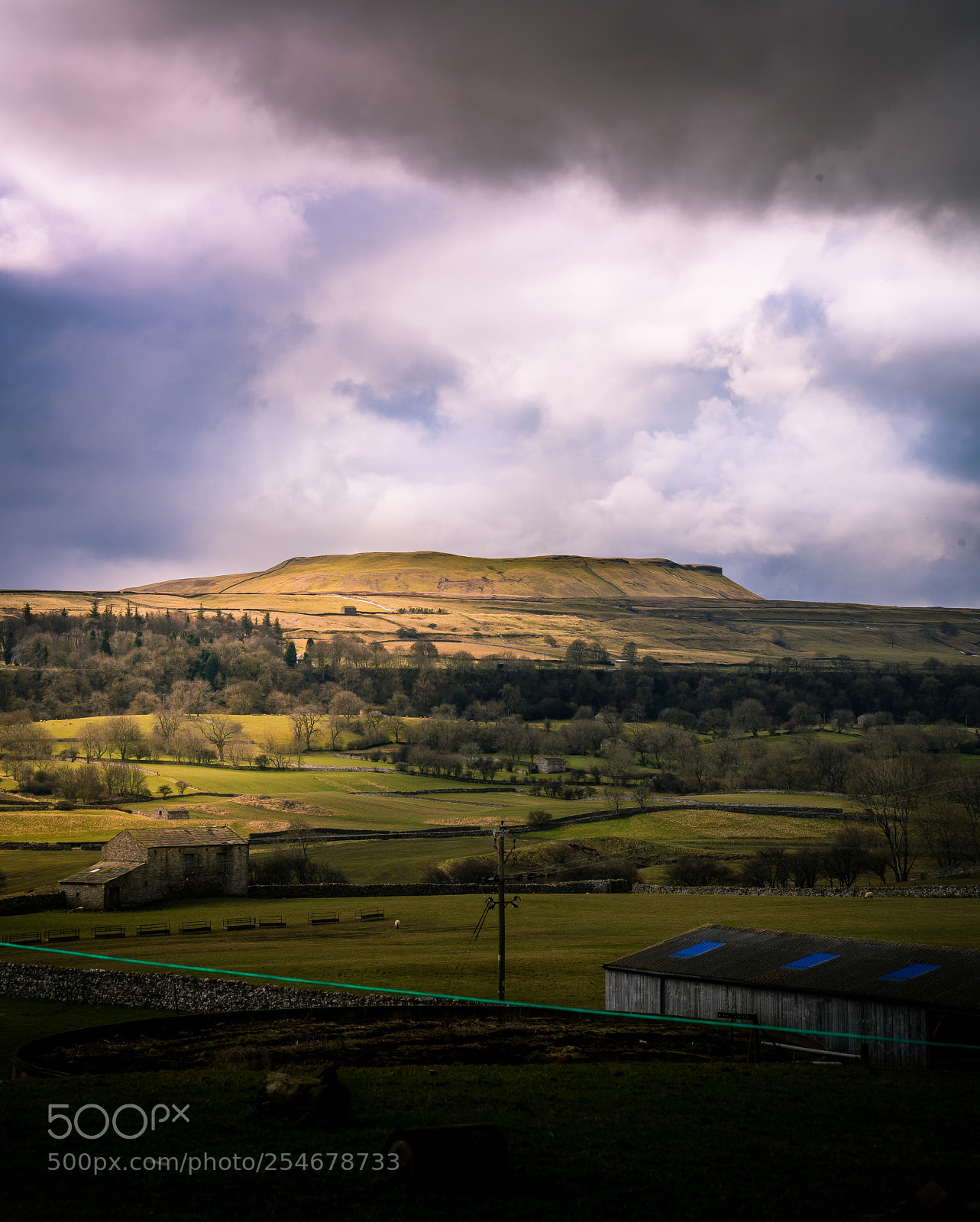 Sony a7R III sample photo. An afternoon in wensleydale photography