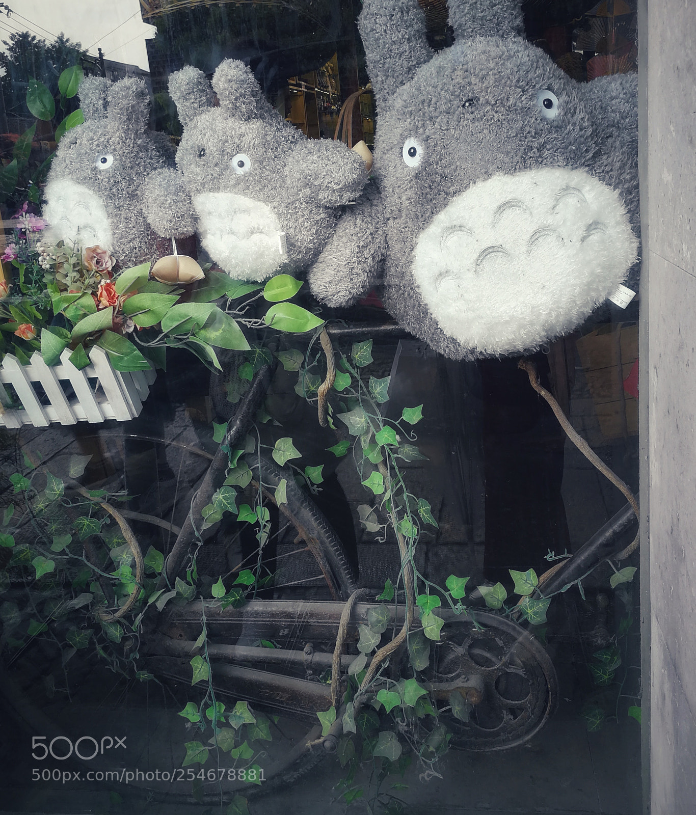 HUAWEI P10 sample photo. Totoro photography