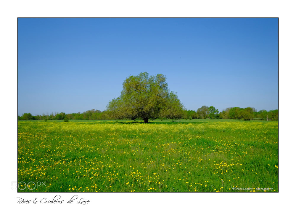 Fujifilm X-T20 sample photo. Sur les rives de photography