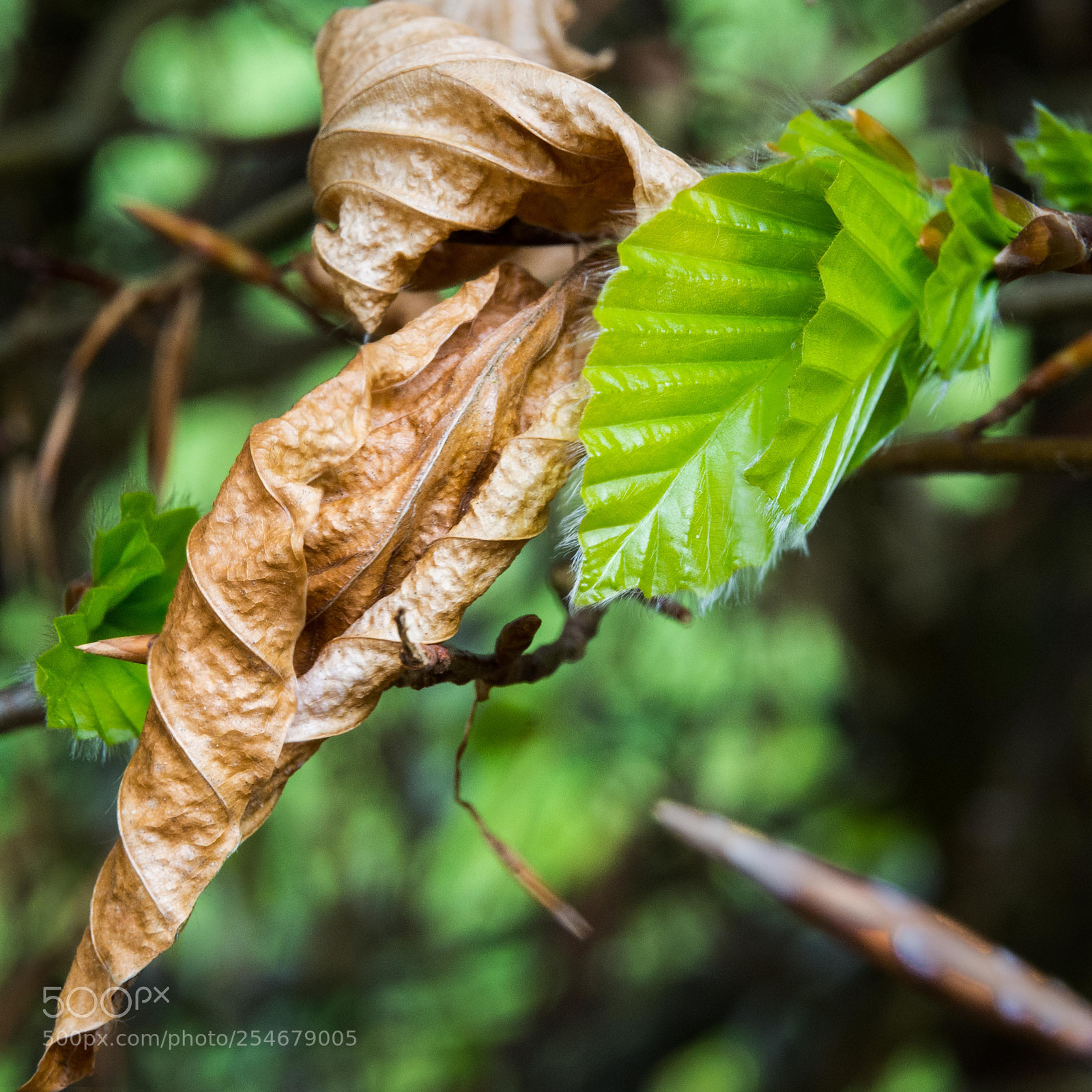 Nikon D7200 sample photo. Old and new photography