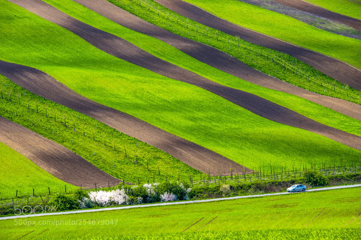 Nikon D4 sample photo. Striped landscape. spring of 2017 photography