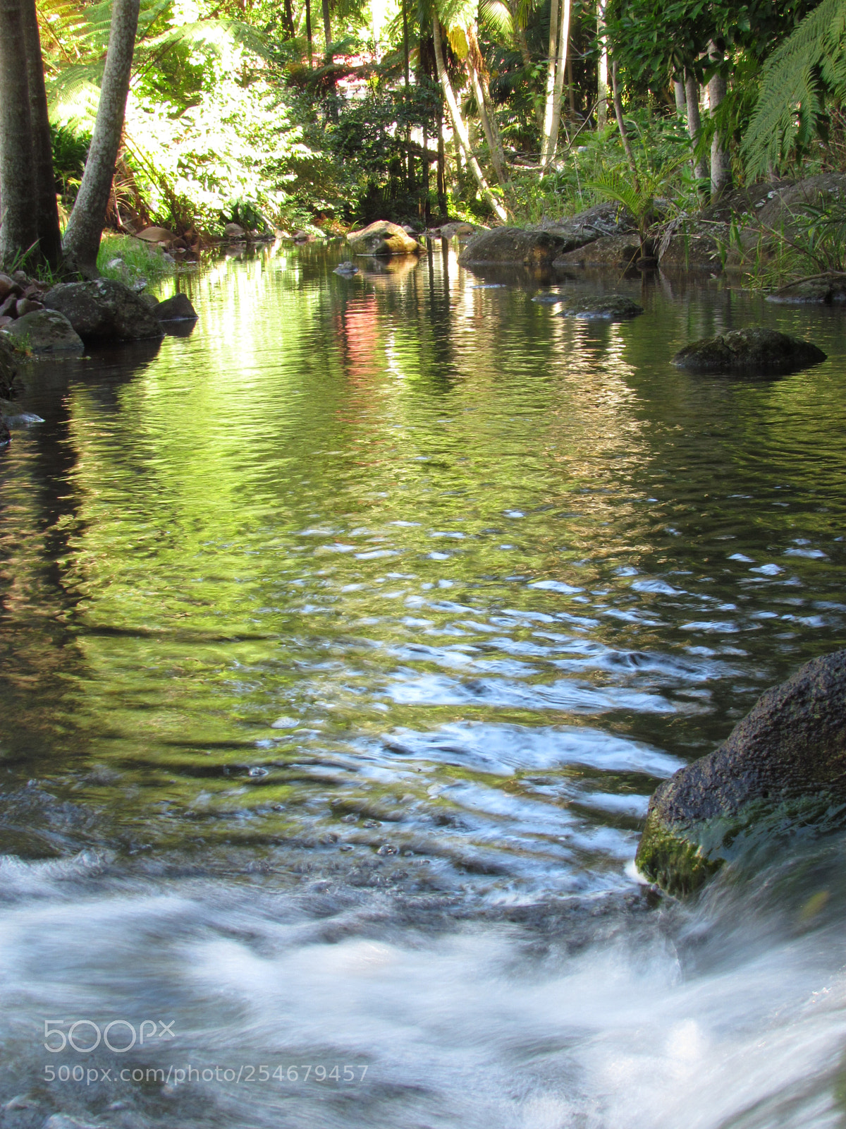 Canon PowerShot SX30 IS sample photo. Reflections photography