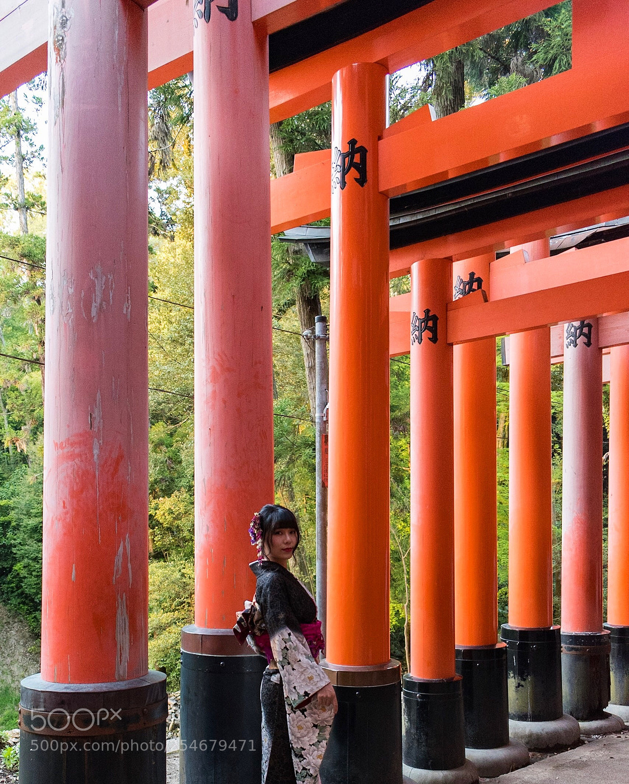 Nikon D5600 sample photo. Fushimi inari photography