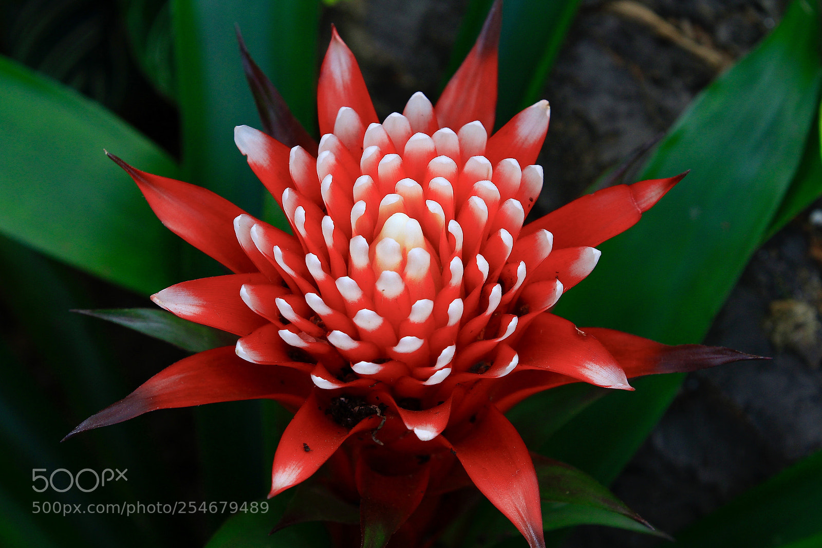 Canon EOS 7D sample photo. Untitled photography