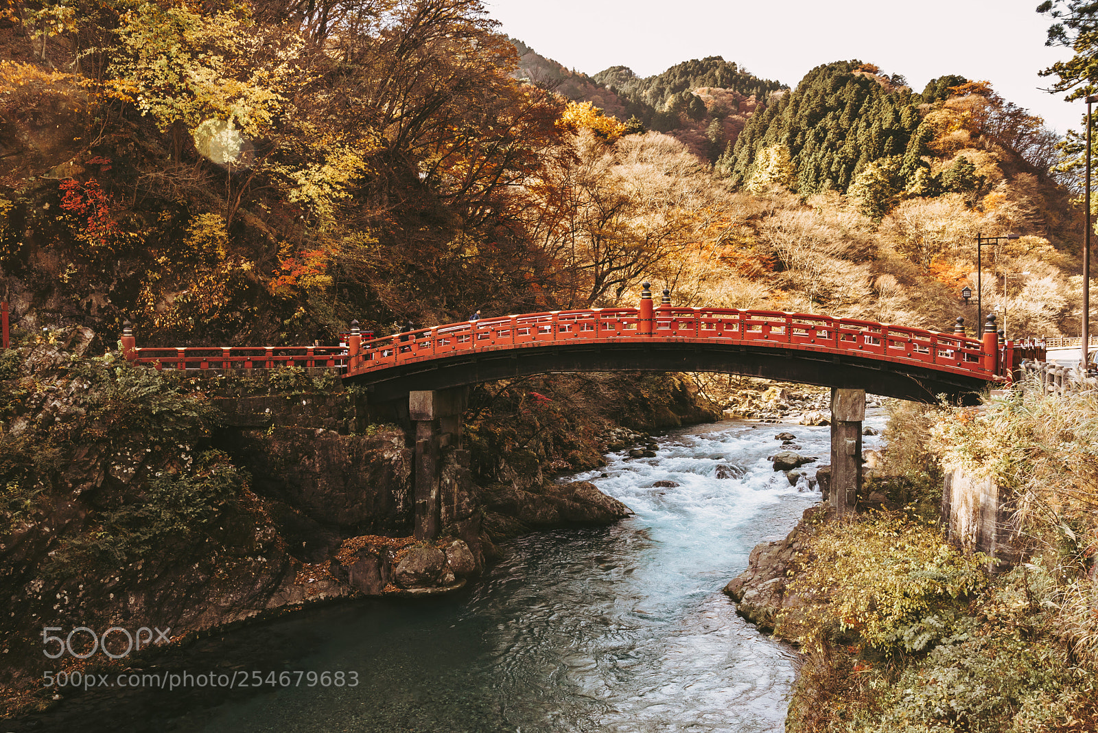 Nikon D610 sample photo. Nikko bridge photography