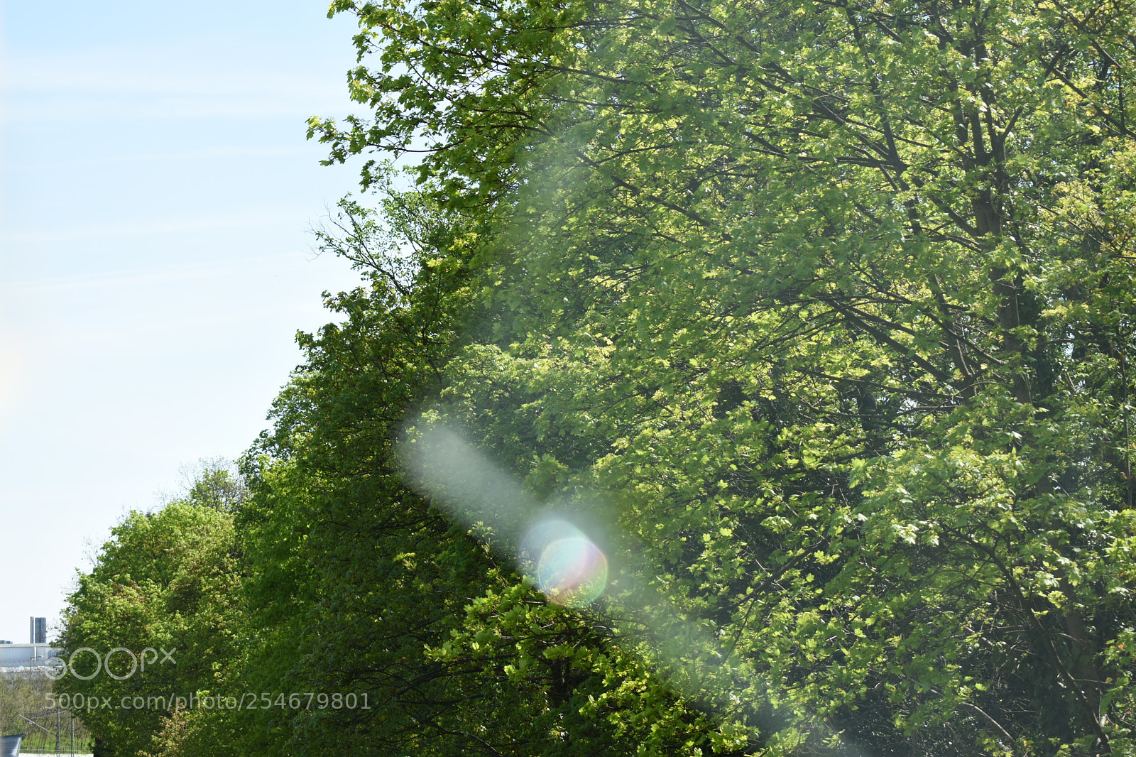 Nikon D3400 sample photo. Heart photography