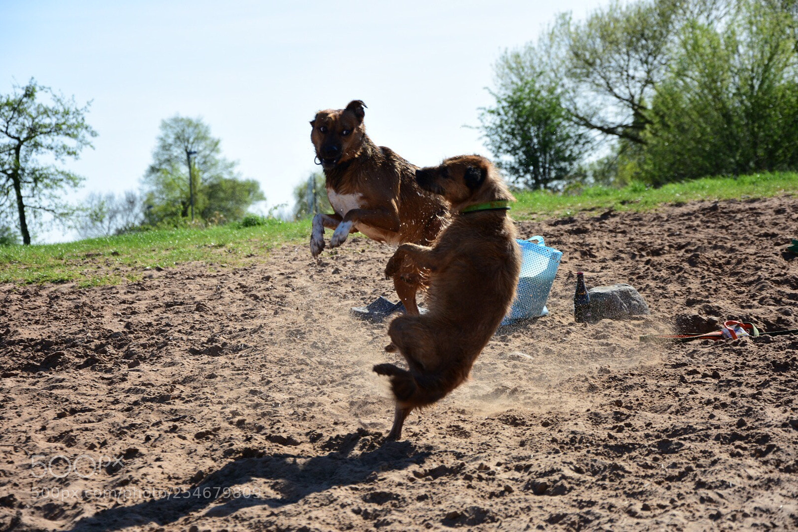 Nikon D7200 sample photo. Hold your balance photography