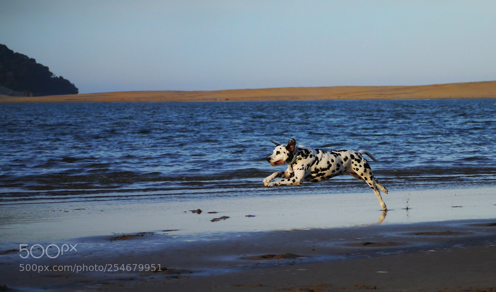 Panasonic Lumix DMC-G3 sample photo. Beach run  photography